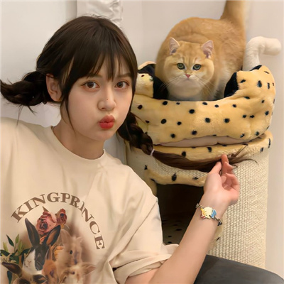 迪庆伴游女生星晓莉的资料